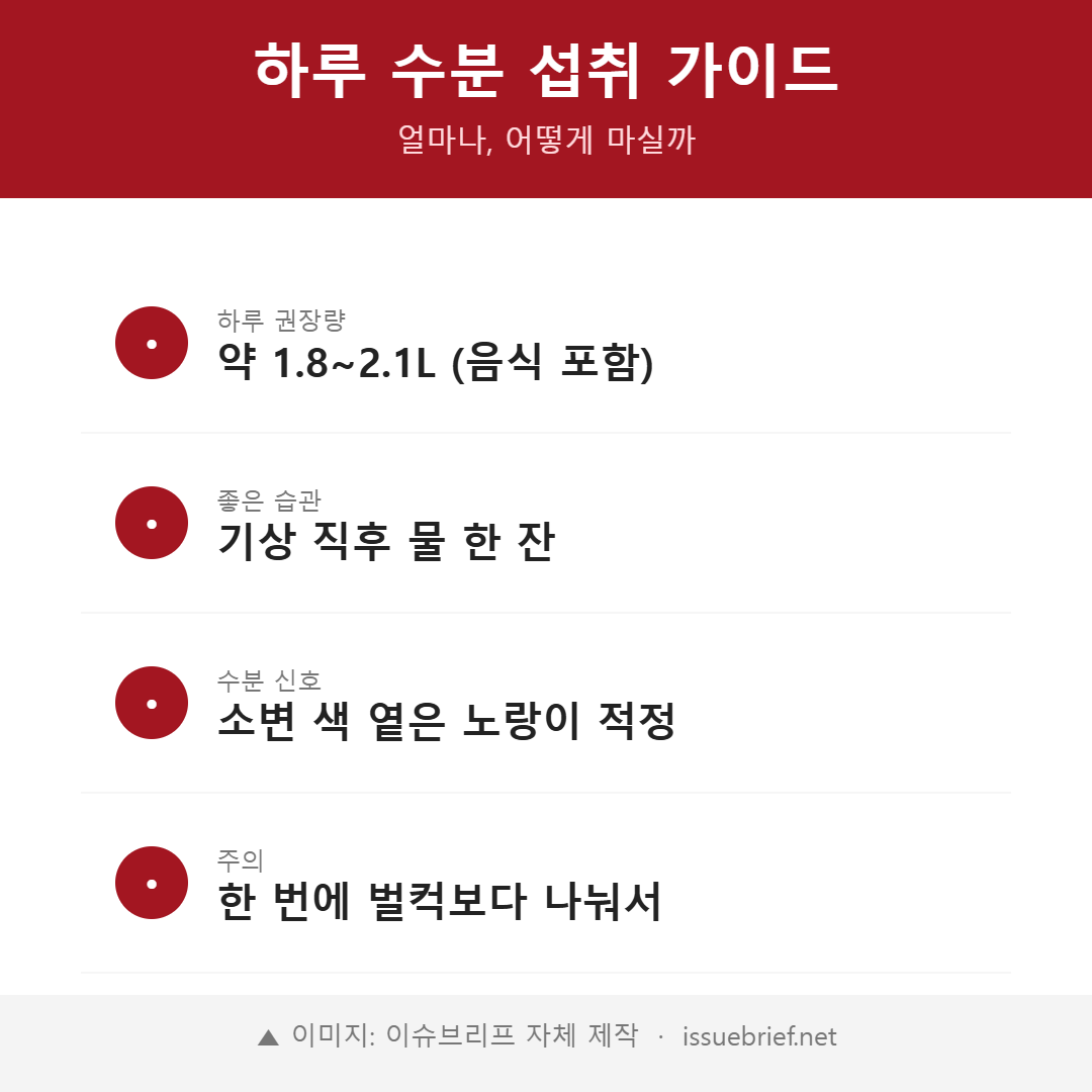 하루 적정 수분 섭취량 가이드 인포그래픽