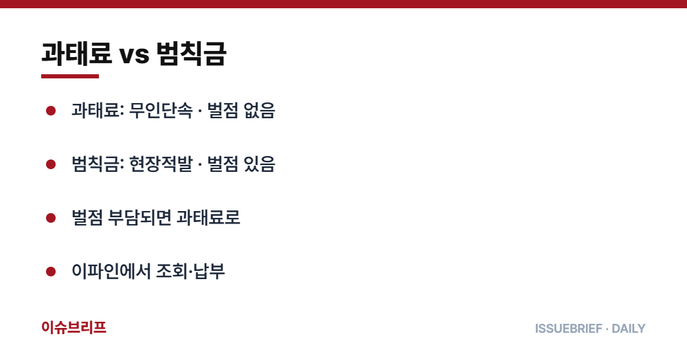 과태료 vs 범칙금 요약 인포그래픽