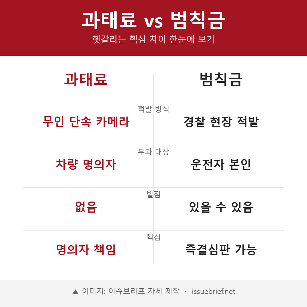 과태료와 범칙금 차이 비교 인포그래픽