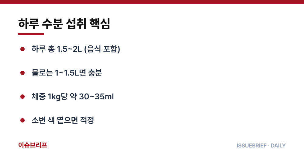 하루 수분 섭취 핵심 요약 인포그래픽